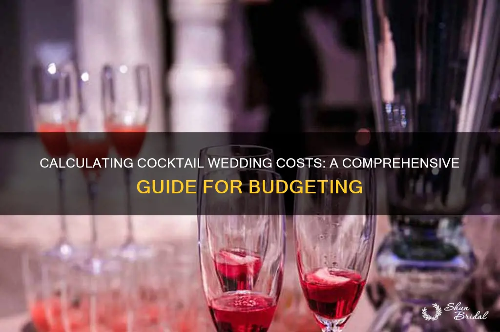 how to calculate cocktail wedding cost