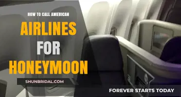 Honeymoon Travel Tips: Contacting American Airlines for Your Romantic Getaway