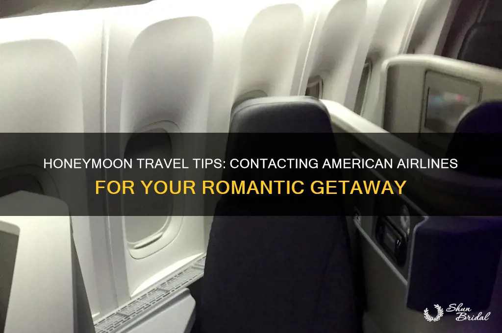 how to call american airlines for honeymoon