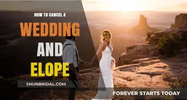 Cancel the Wedding, Elope Instead: A Guide to Simplifying Your Big Day