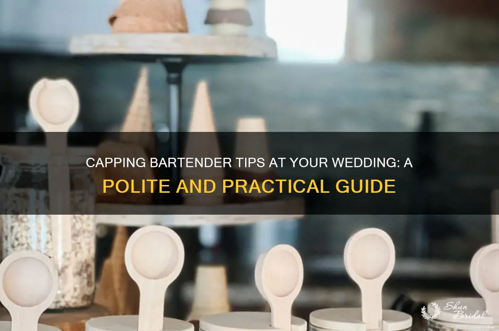 how to cap the bartenders tips at wedding