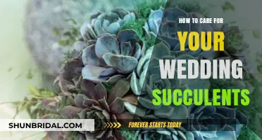 Caring for Your Wedding Succulents: Tips for Long-Lasting Beauty