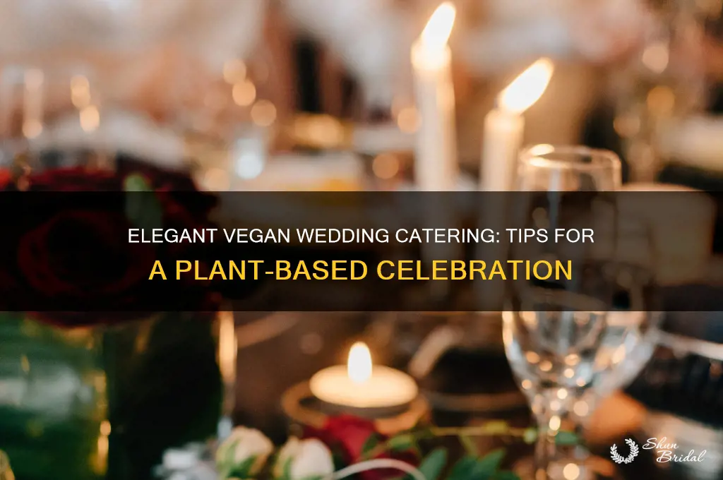 how to cater vegan wedding