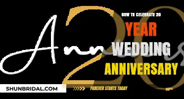 Celebrating Two Decades of Love: Creative 20th Wedding Anniversary Ideas