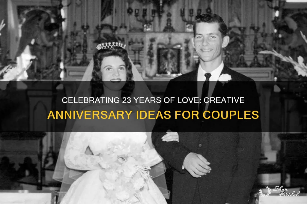 how to celebrate 23rd wedding anniversary