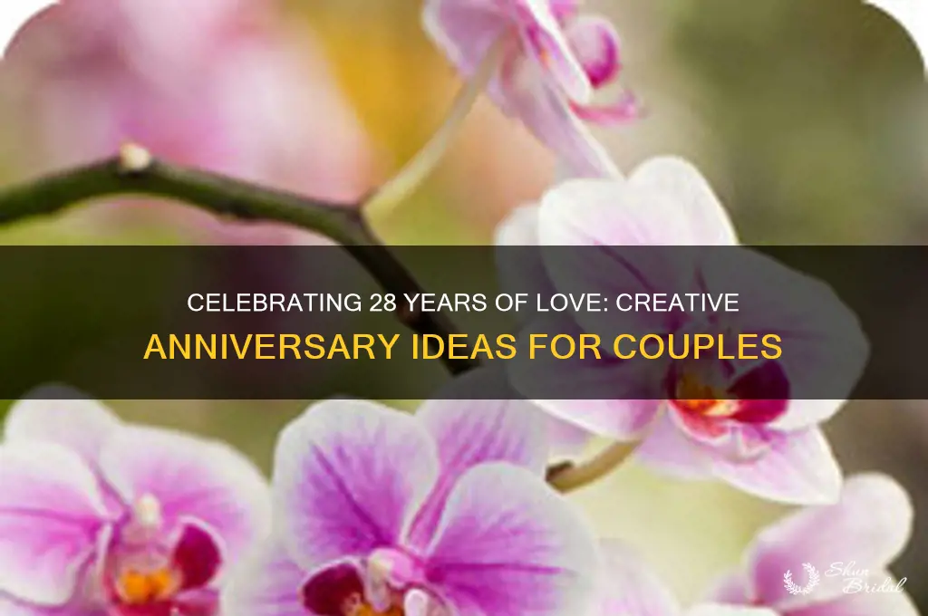 how to celebrate 28th wedding anniversary