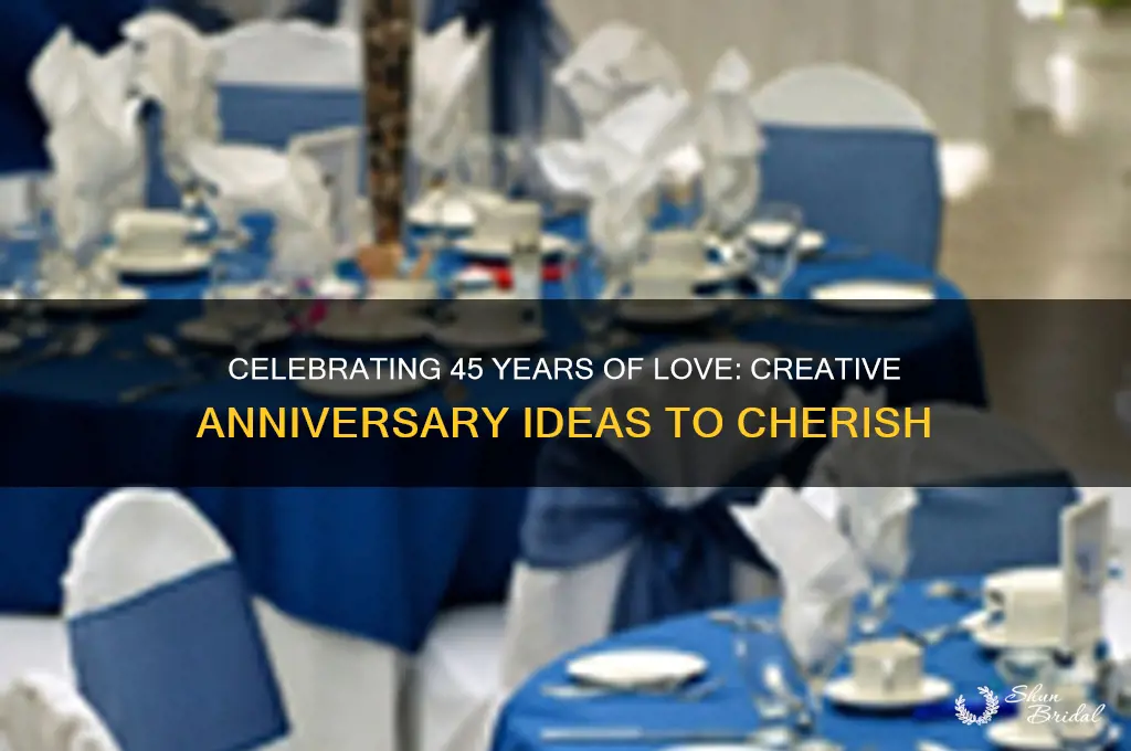 how to celebrate 45 wedding anniverdsay