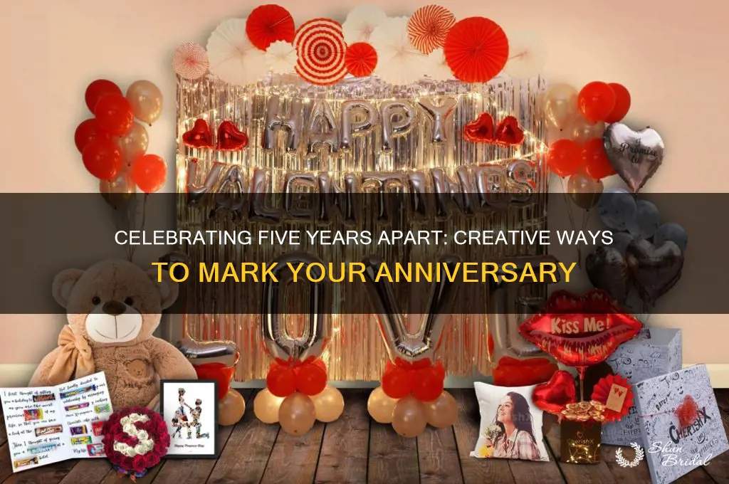 how to celebrate 5th wedding anniversary when in different states