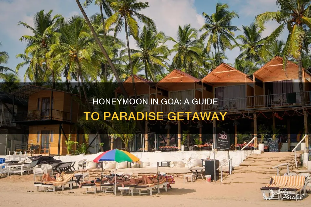 how to celebrate honeymoon in goa