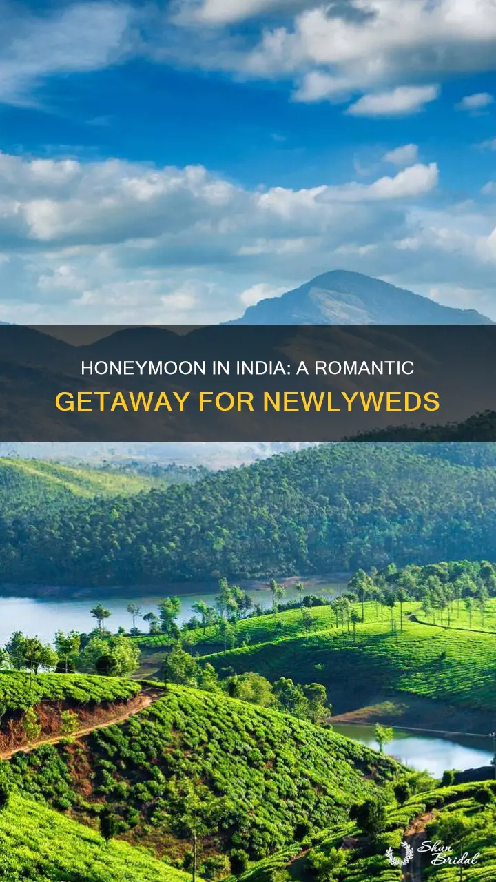 how to celebrate honeymoon in india