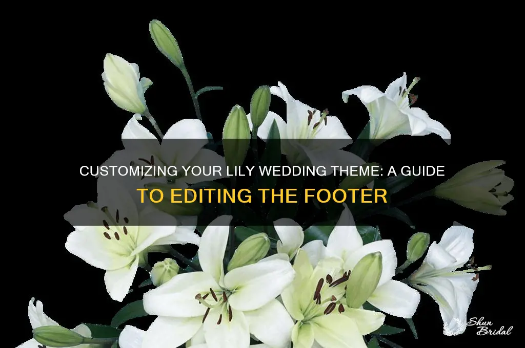 how to change lily wedding theme footer