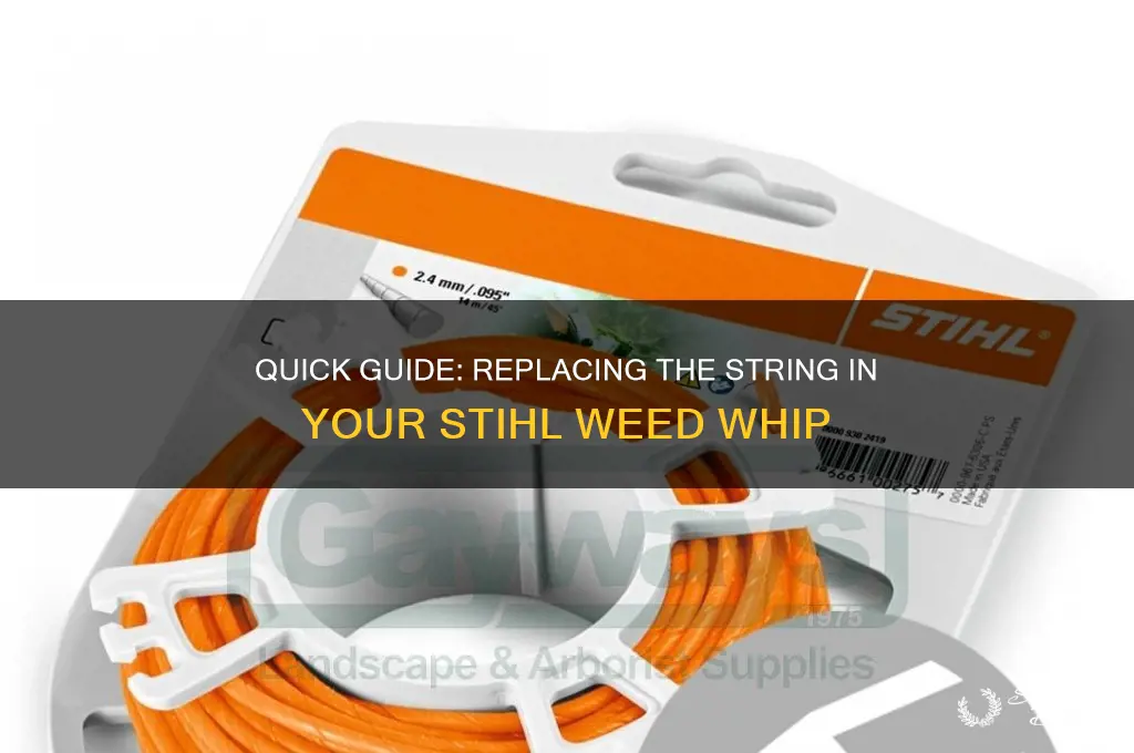 how to change string in stihl wed whip