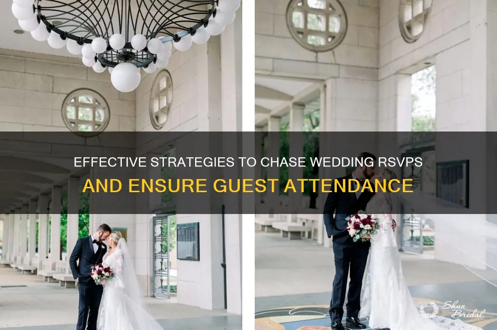 how to chase wedding rsvps