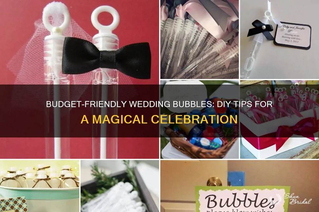 how to cheap wedding bubbles