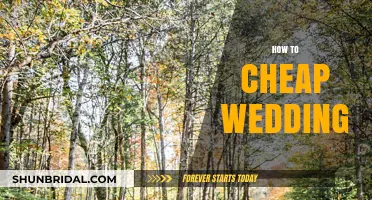 Budget-Friendly Wedding Tips: Plan Your Dream Day for Less