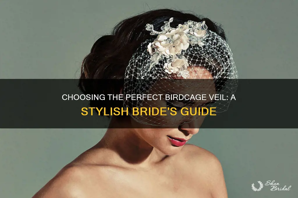how to choose a birdcage veil