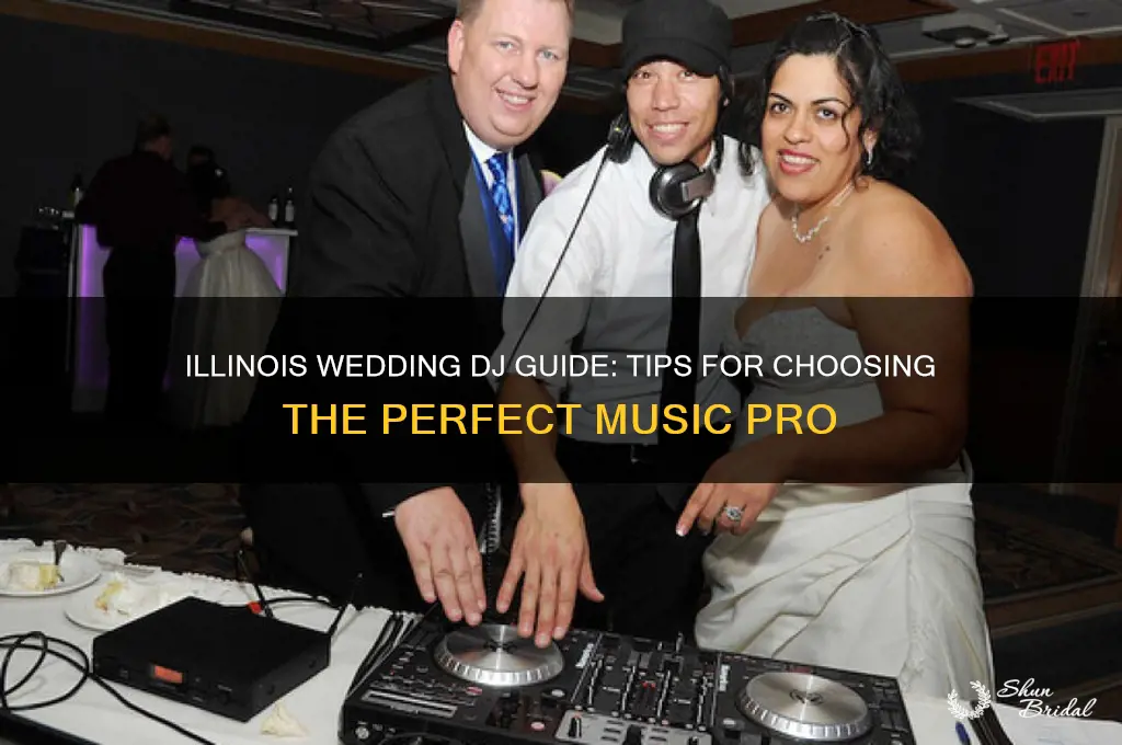how to choose a wedding dj illinois