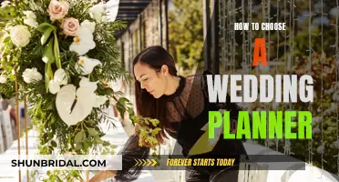 Finding the Perfect Wedding Planner for Your Big Day