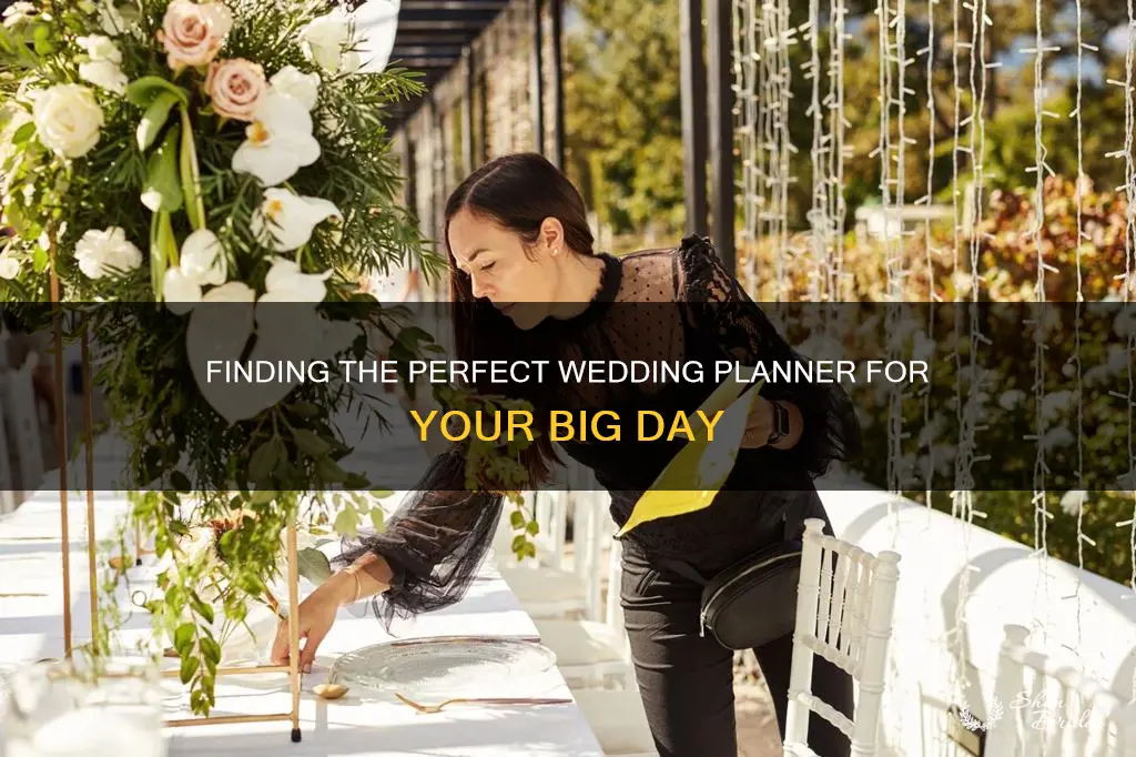 how to choose a wedding planner