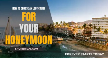 Honeymoon Bliss: Navigating the Perfect LGBT Cruise Getaway