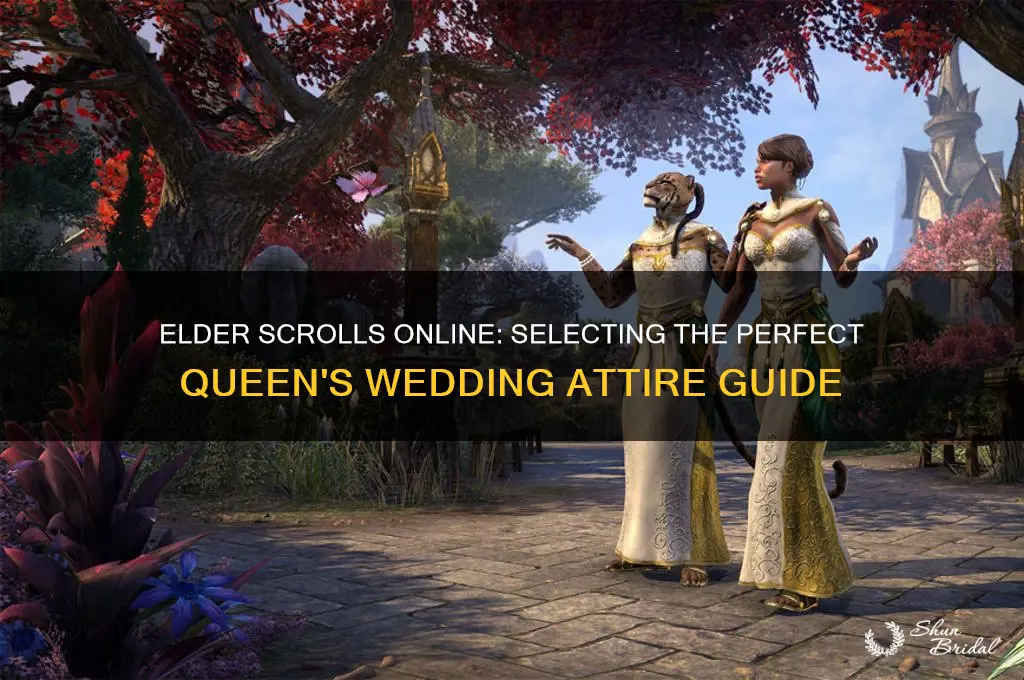 how to choose queens wedding clothes eso