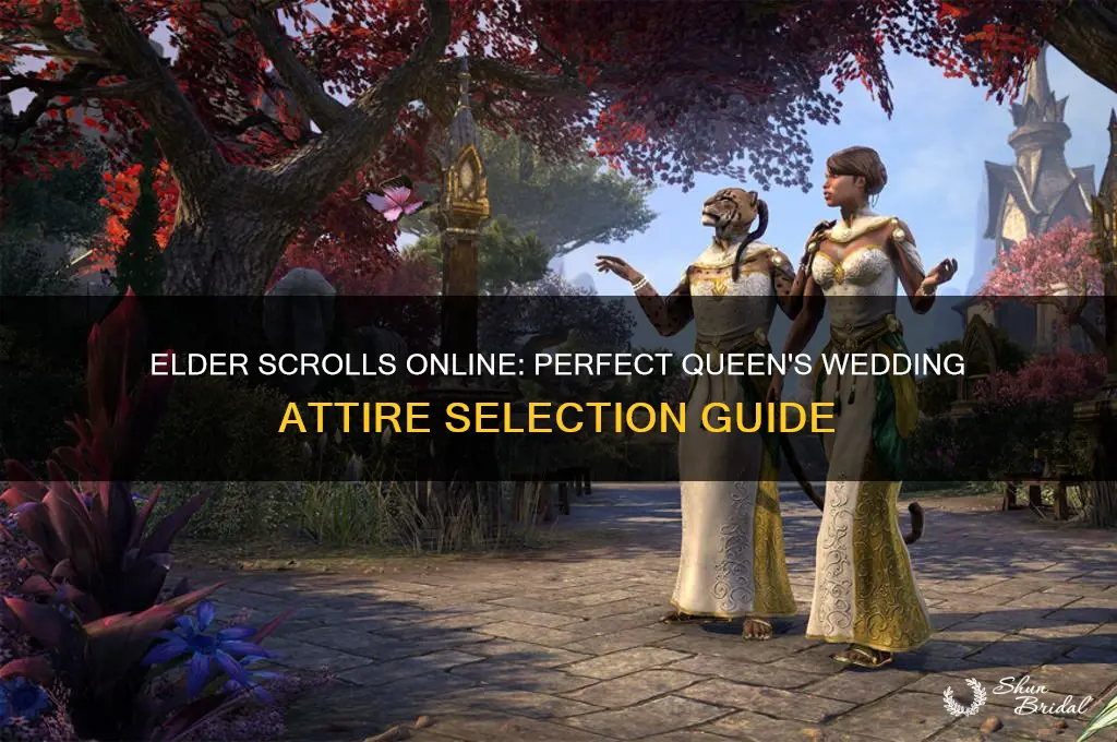 how to choose quens wedding clothes eso