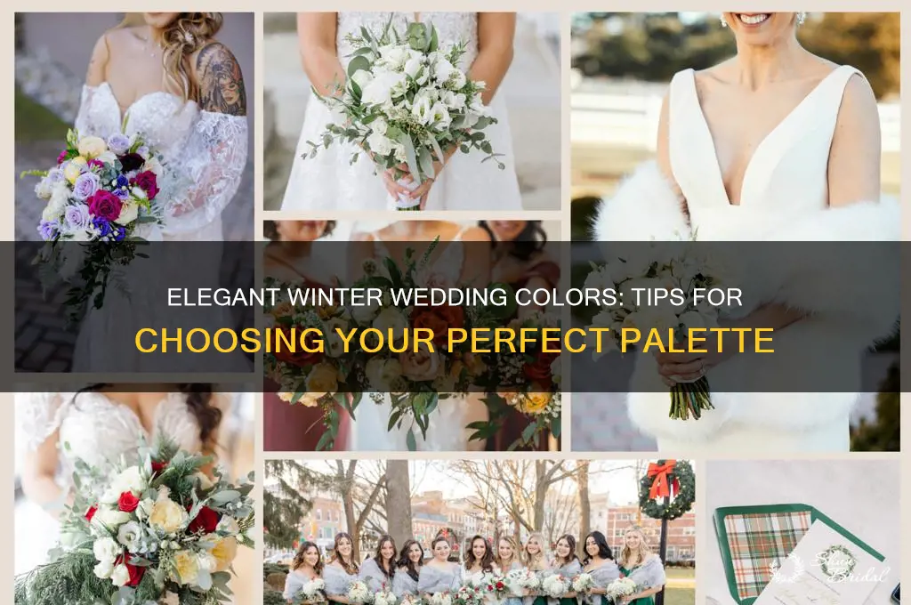 how to choose winter wedding colors