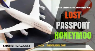 Lost Passport on Honeymoon? Steps to Claim Travel Insurance Easily