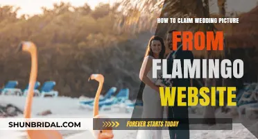 Claiming Your Wedding Photos: A Guide to Flamingo Website Retrieval
