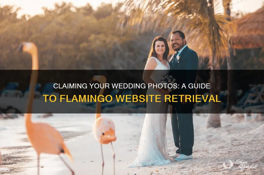 how to claim wedding picture from flamingo website