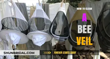 Effective Steps to Clean and Maintain Your Bee Veil Properly