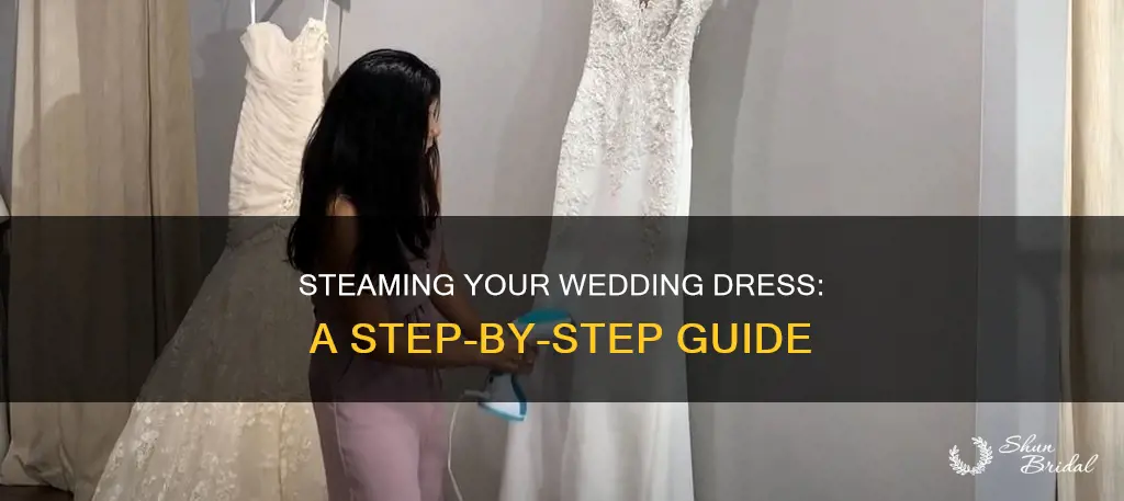 how to clean a wedding dress with a steamer