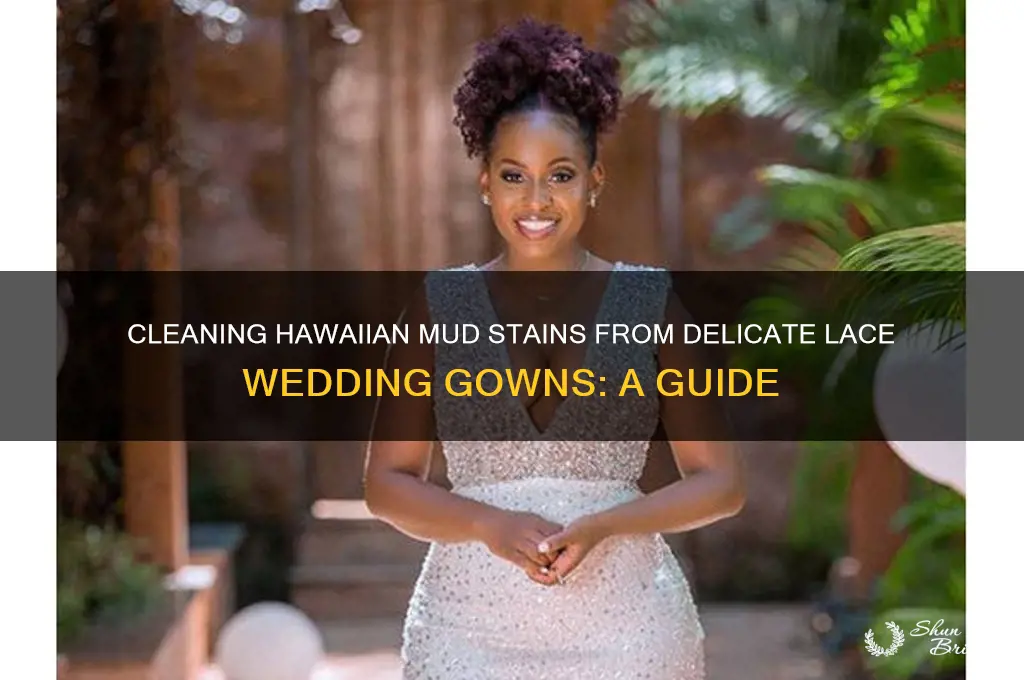 how to clean hawaiian mud off lace wedding gown