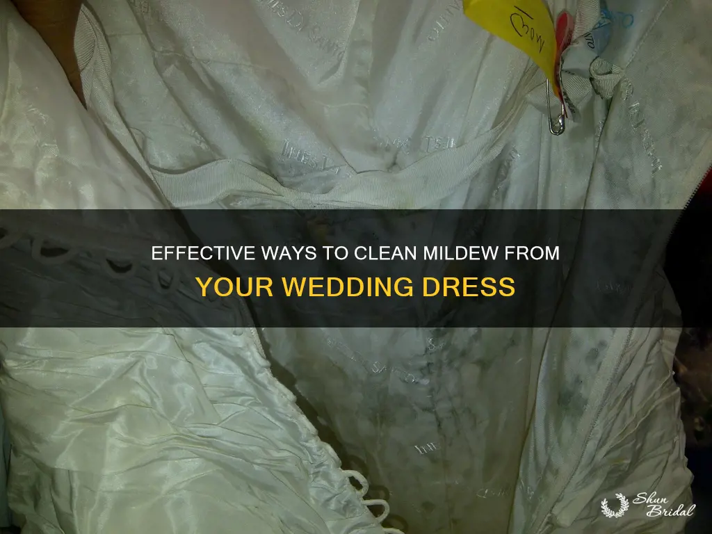 how to clean mildew from wedding dress