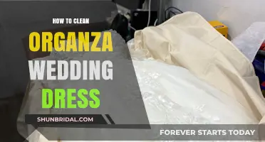 The Ultimate Guide to Cleaning Your Organza Wedding Dress