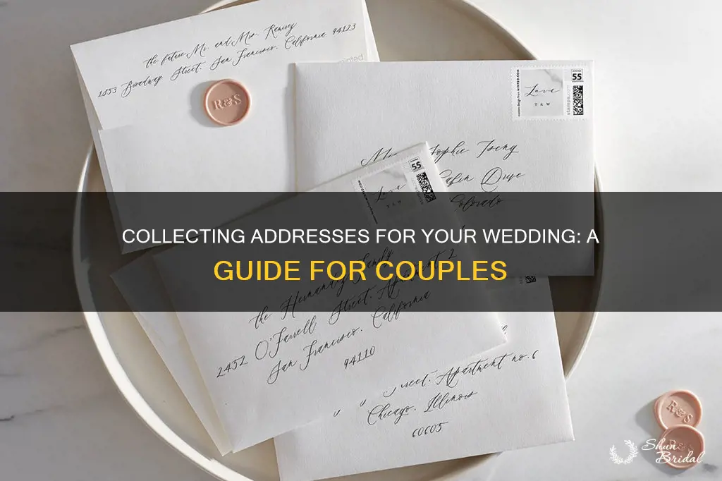 how to collect addresses for wedding the knot