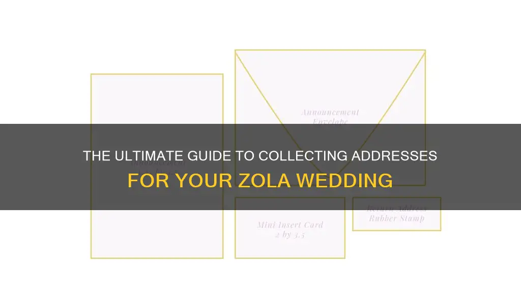 how to collect addresses for wedding zola