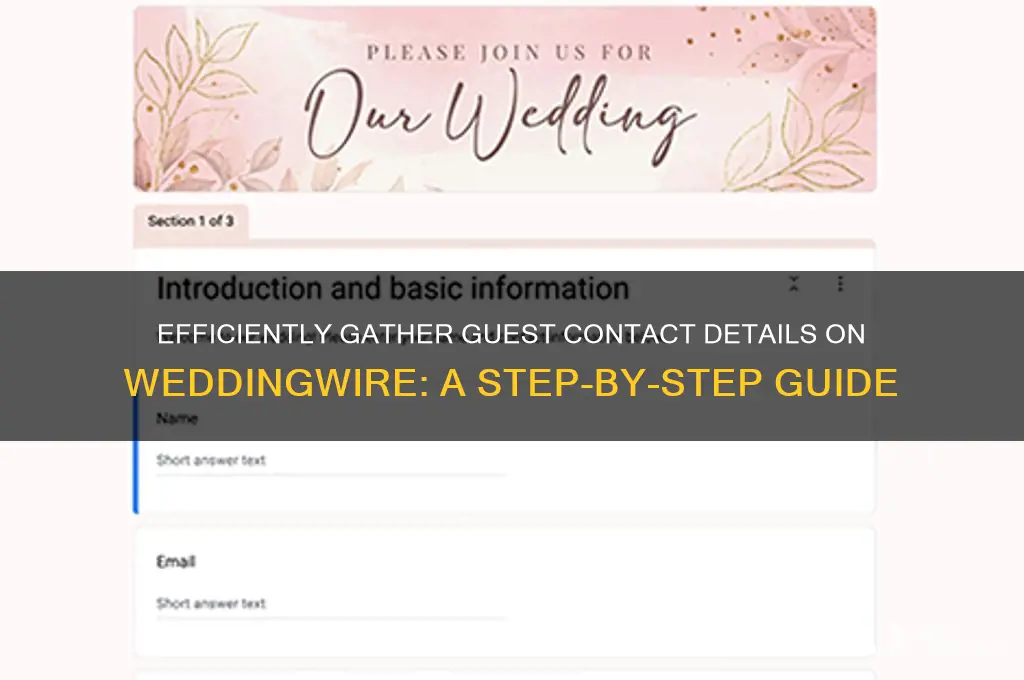 how to collect contact information on wedding wire website