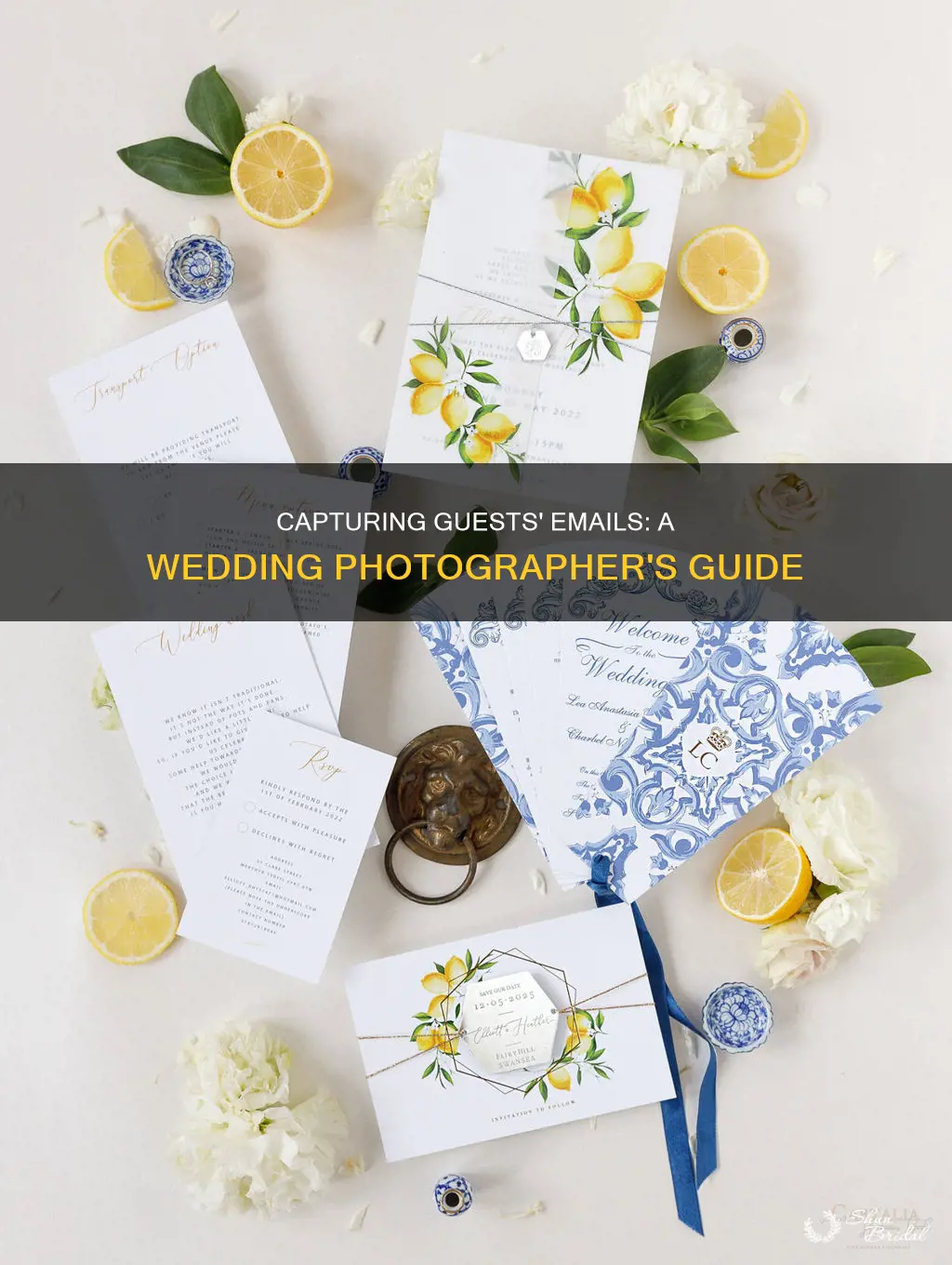 how to collect emails at a wedding for the photographer