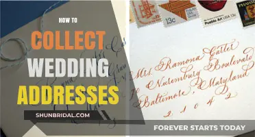 The Ultimate Guide to Collecting Wedding Addresses