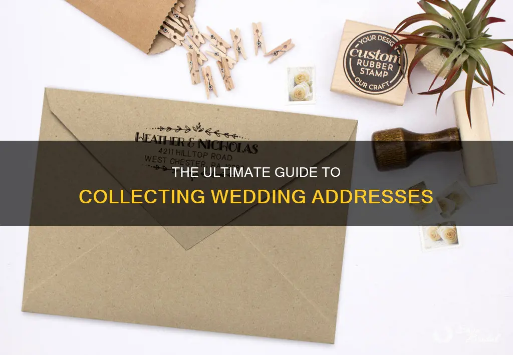 how to collect wedding addresses