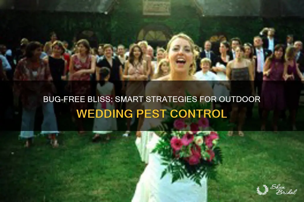 how to combat outdoor weddings with bugs