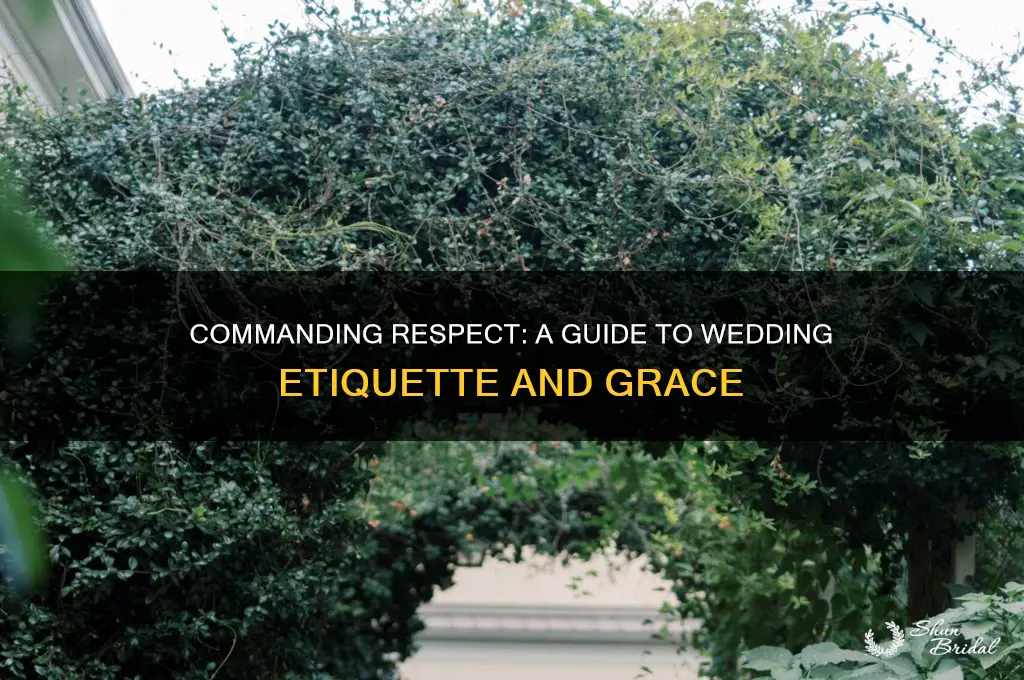 how to command respect at a wedding