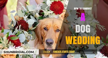 Planning the Perfect Dog Wedding: A Step-by-Step Guide