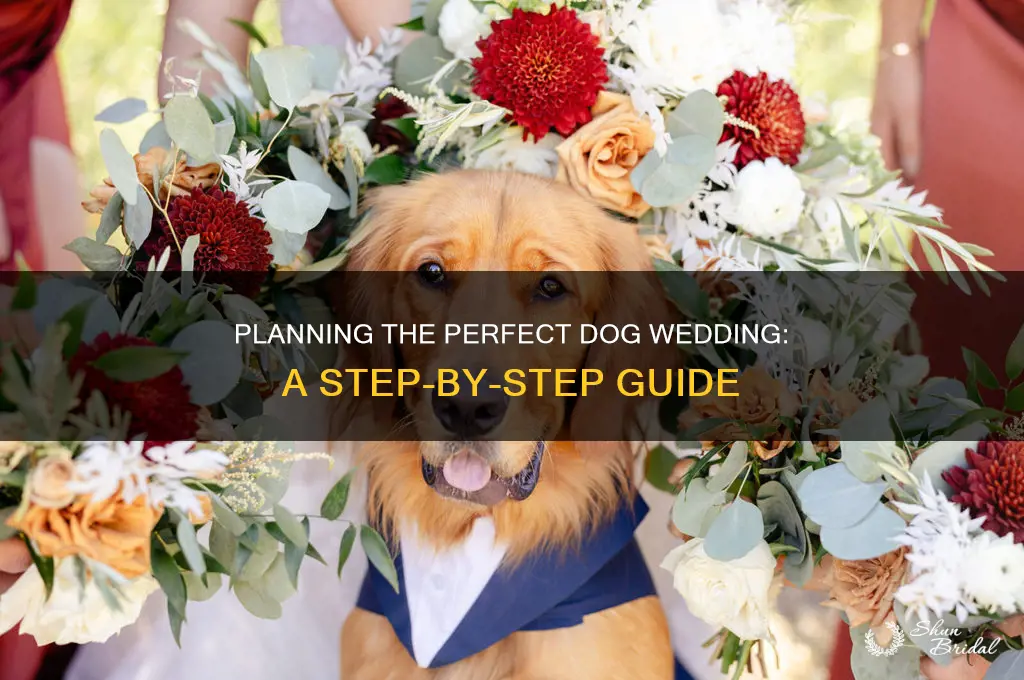 how to conduct a dog wedding