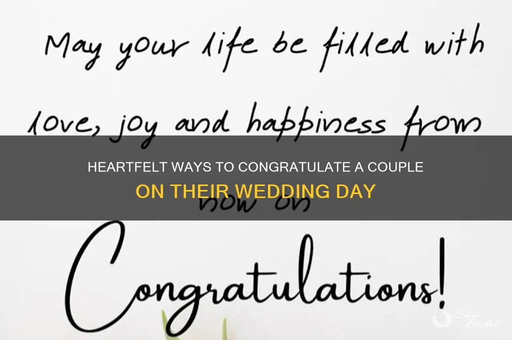 how to congrarulate zomeonr wedding