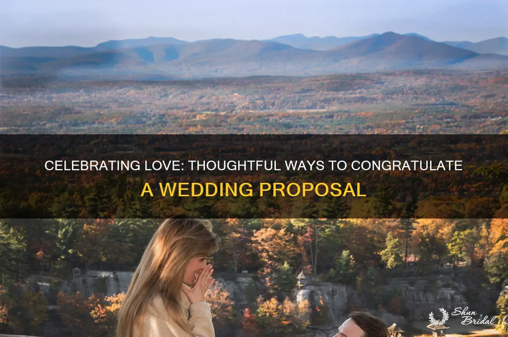 how to congratulate a wedding proposal