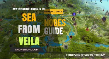 Connecting Veila Nodes to the Sea: A Comprehensive Step-by-Step Guide