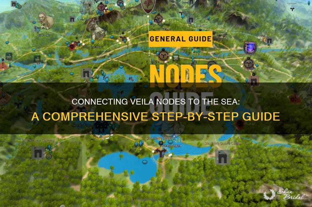 how to connect nodes to the sea from veila