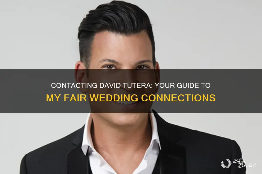 how to contact my fair wedding david tutera